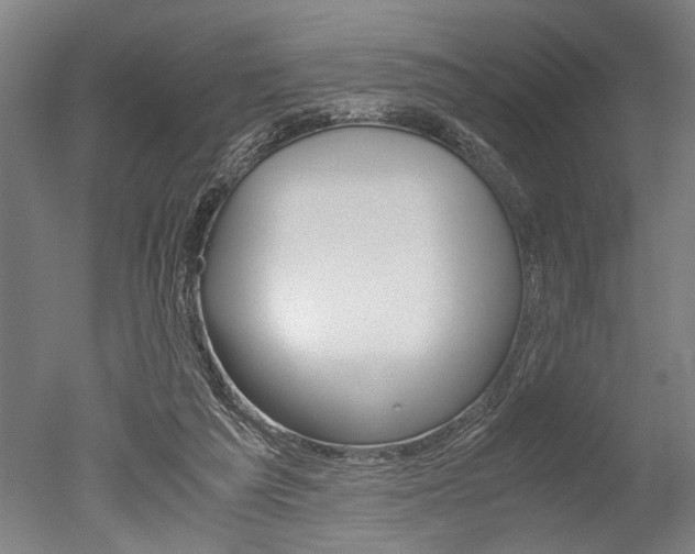 X0000051240209200506170824