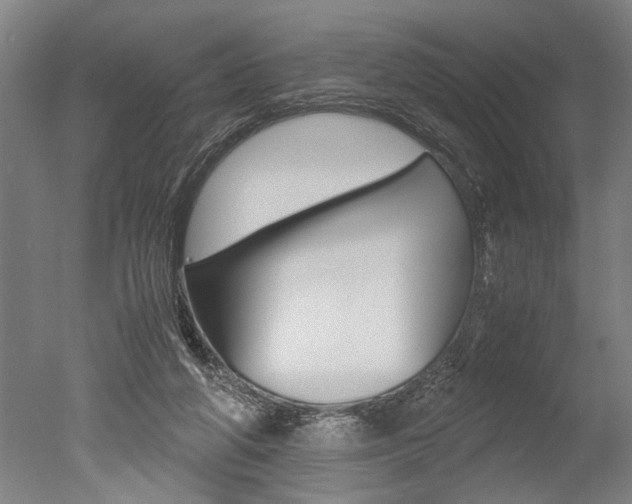 X0000051240210200506170824