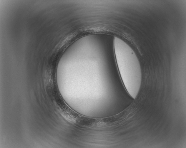 X0000051240212200506170824