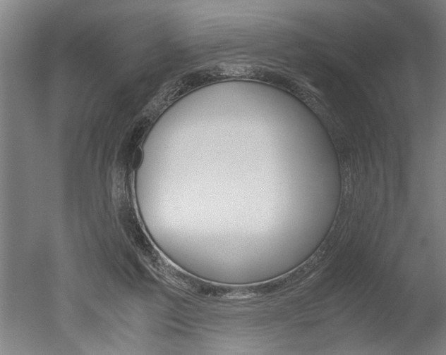 X0000051240213200506170824