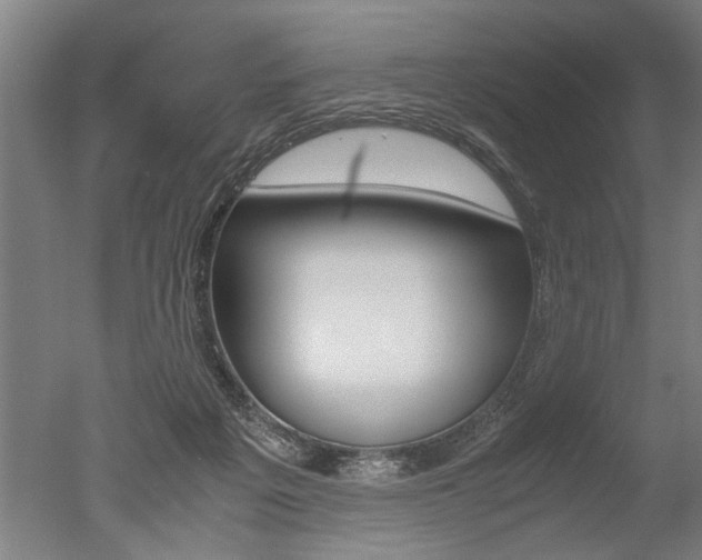 X0000051240217200506170824