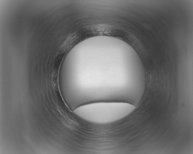 X0000051240218200506170824