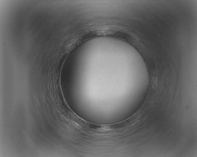 X0000051240219200506170824