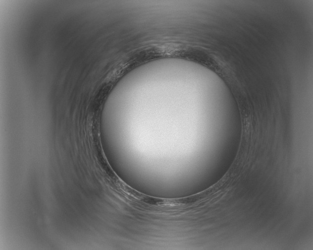 X0000051240221200506170824