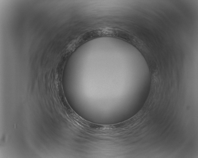 X0000051240223200506170824