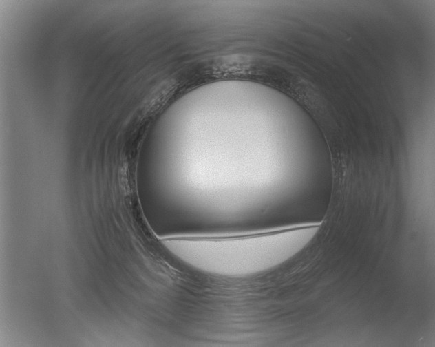 X0000051240224200506170824