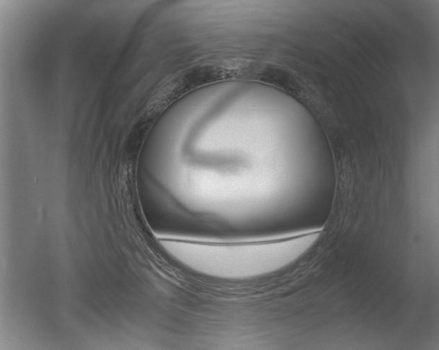 X0000051240225200506170824