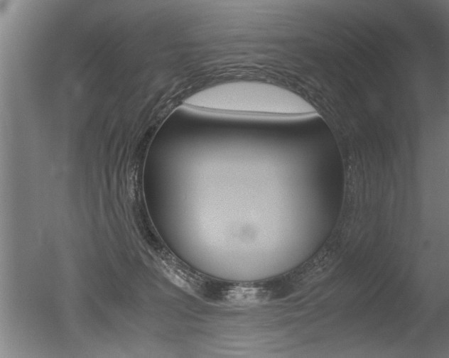 X0000051240227200506170824