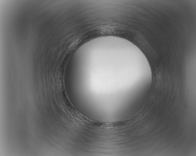 X0000051240228200506170824