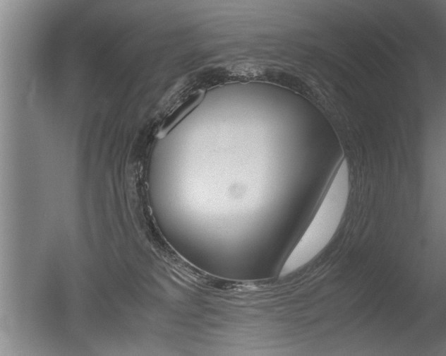 X0000051240229200506170824