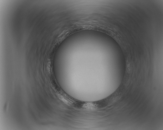 X0000051240231200506170824