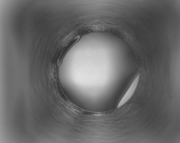X0000051240233200506170824
