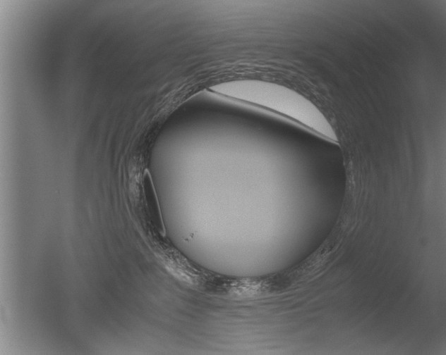 X0000051240235200506170824