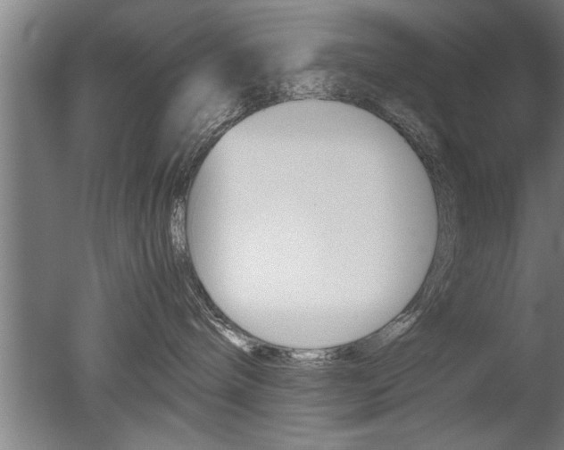 X0000051240240200506170824