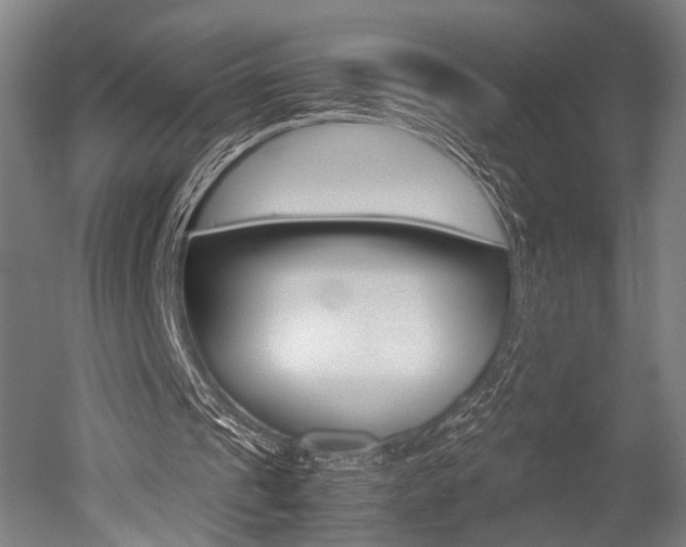 X0000051240241200506170823