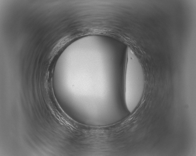 X0000051240242200506170823