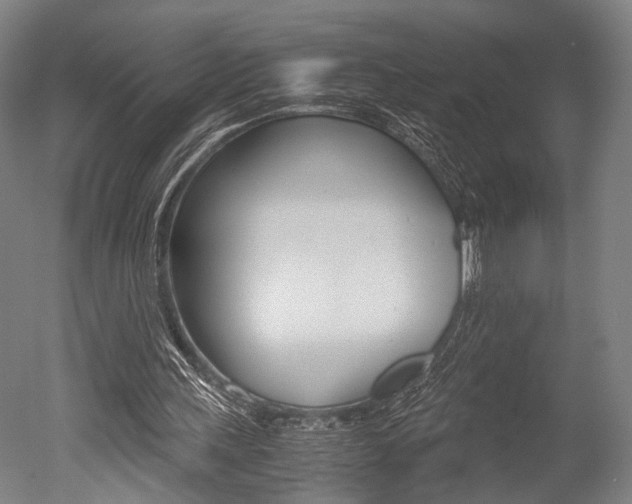 X0000051240243200506170823