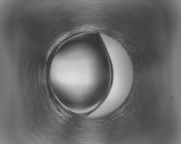 X0000051240244200506170823