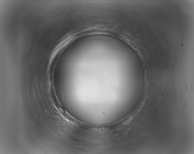 X0000051240245200506170823