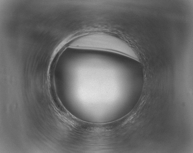 X0000051240246200506170823