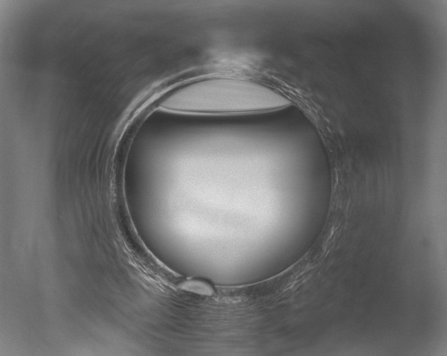 X0000051240247200506170823
