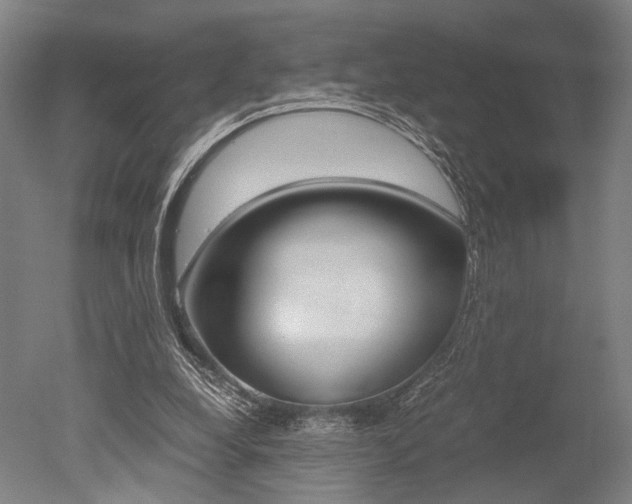 X0000051240248200506170823