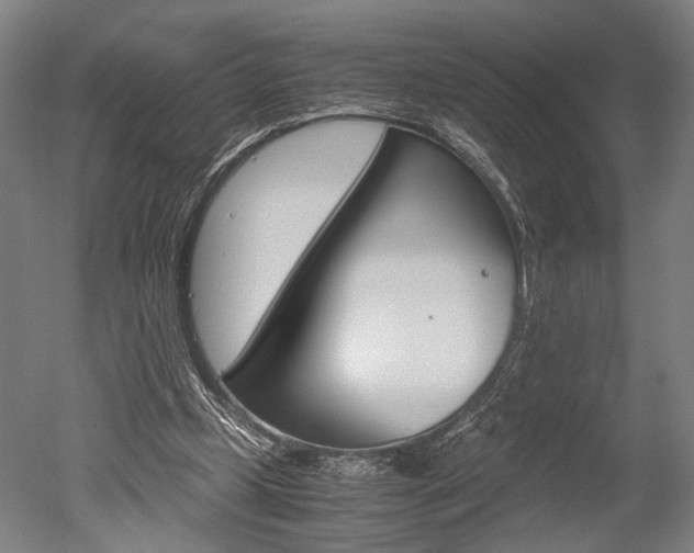 X0000051240249200506170823