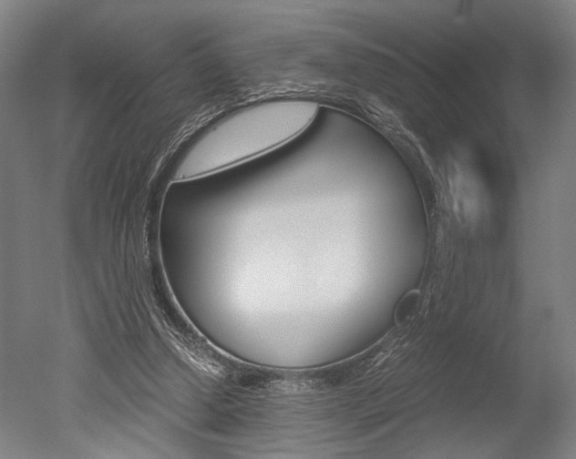 X0000051240250200506170823
