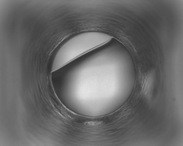 X0000051240251200506170823