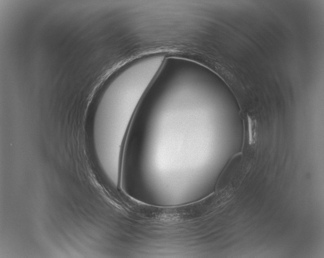 X0000051240252200506170823