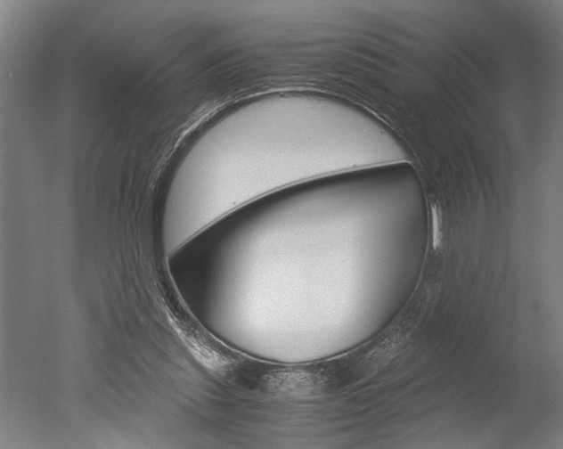 X0000051240253200506170823