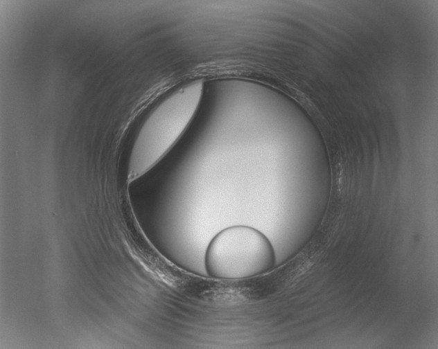 X0000051240254200506170823