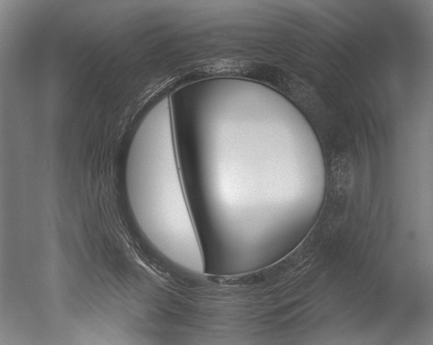 X0000051240255200506170823