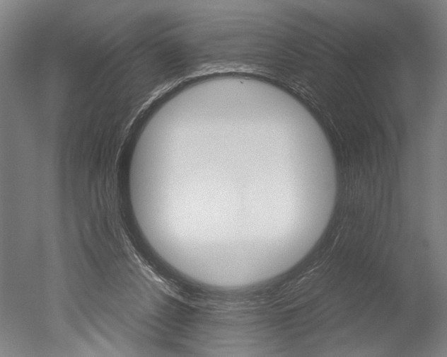 X0000051240256200506170823