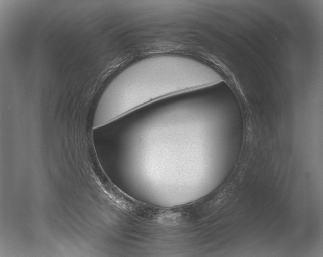 X0000051240257200506170823