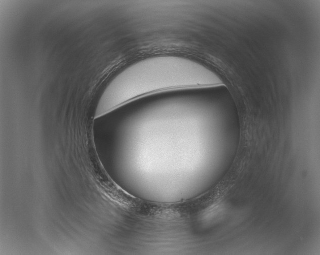 X0000051240258200506170823