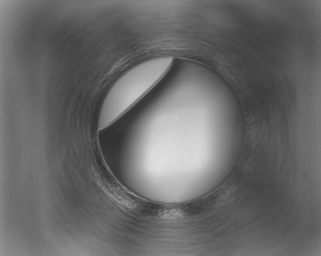 X0000051240262200506170823
