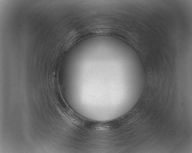 X0000051240263200506170823