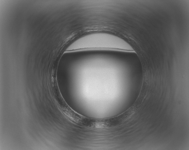 X0000051240264200506170823