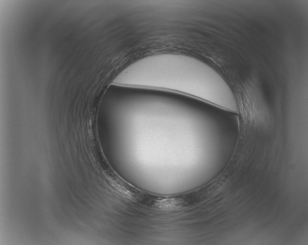 X0000051240269200506170823