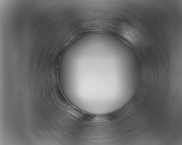 X0000051240270200506170823