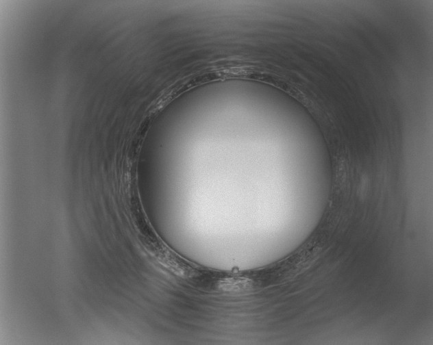 X0000051240271200506170823