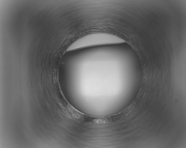 X0000051240272200506170823