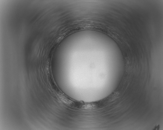 X0000051240274200506170823
