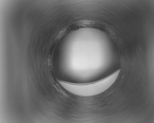 X0000051240284200506170824