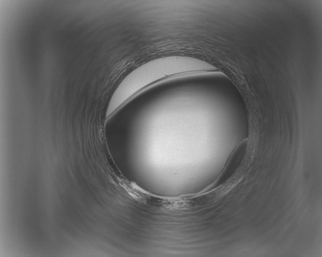 X0000051240288200506170824