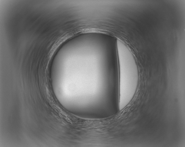 X0000051240289200506170823