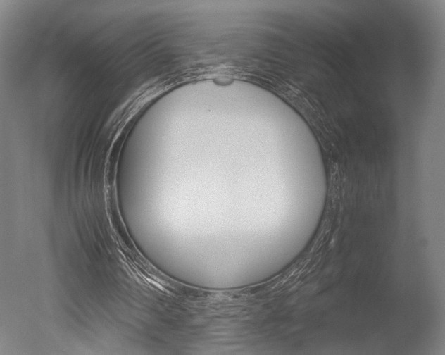 X0000051240290200506170823