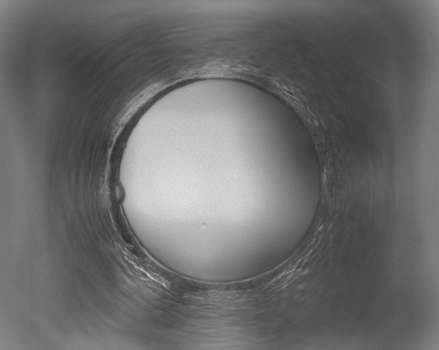 X0000051240292200506170823