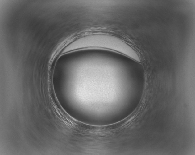 X0000051240293200506170823